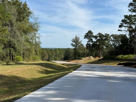 Photo of 99 Pine Timber Dr, Willis, TX 77378 (MLS # 76921928)