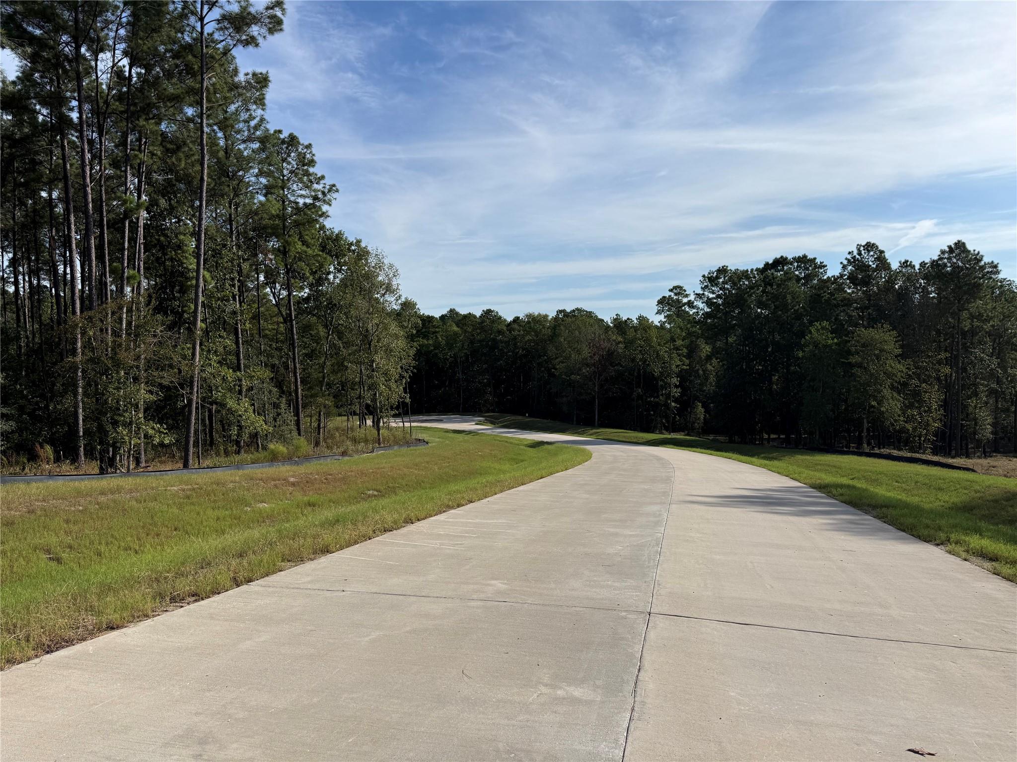 99 Pine Timber Dr