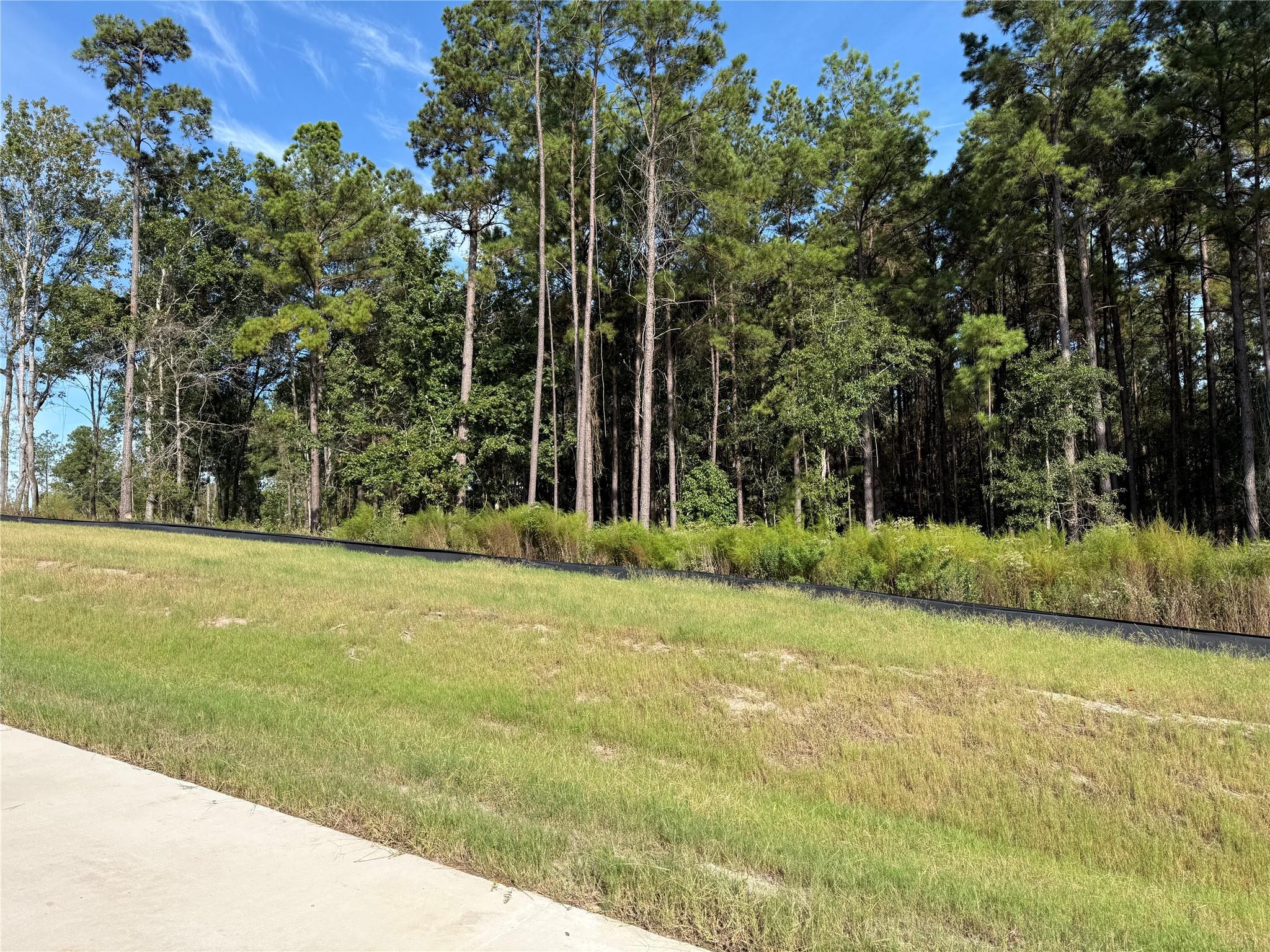 99 Pine Timber Dr