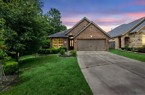 110 Logan Pass Court Montgomery TX 77316