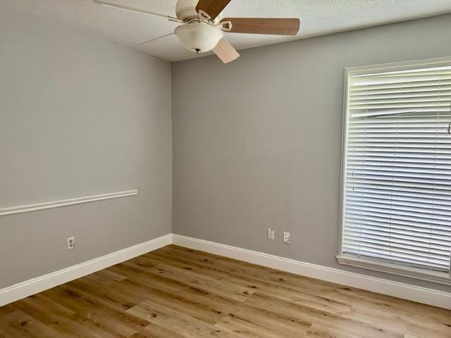 3031 Windmill Street