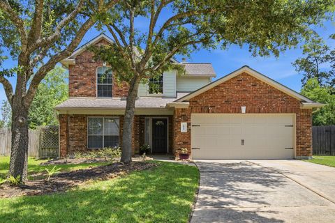 Photo of 2835 Wild Oak Park Drive, Conroe, TX 77385 (MLS # 20076664)