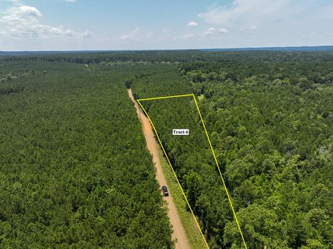 Vacant Land For Sale - 06 Bayou Road<br/> Sabine County, Milam, TX 75948