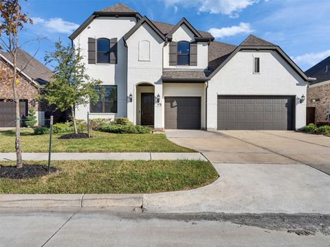 Photo of 913 Goose Creek Street, Webster, TX 77598 (MLS # 49276336)