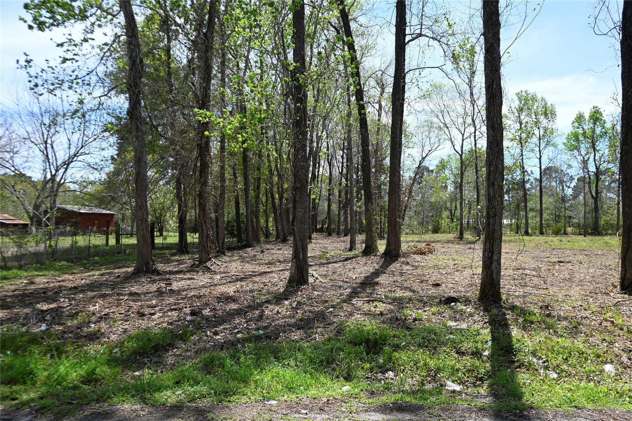 lot 6 County Road 2360