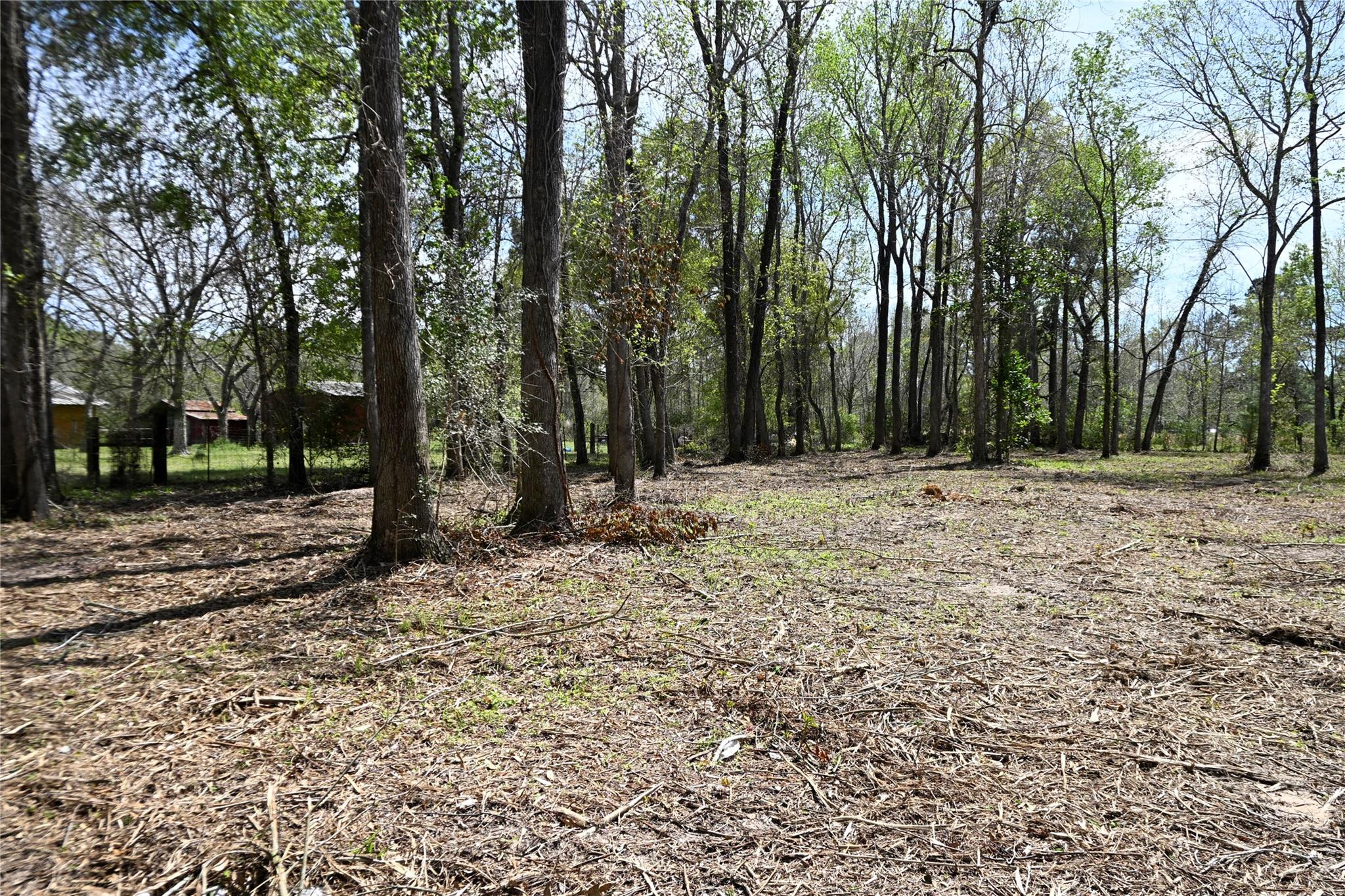 lot 6 County Road 2360