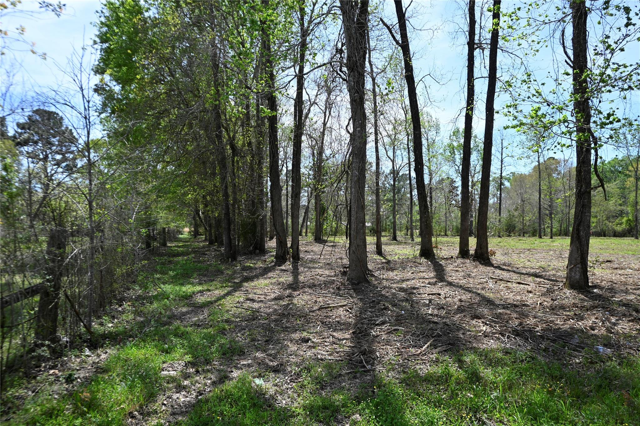 lot 6 County Road 2360