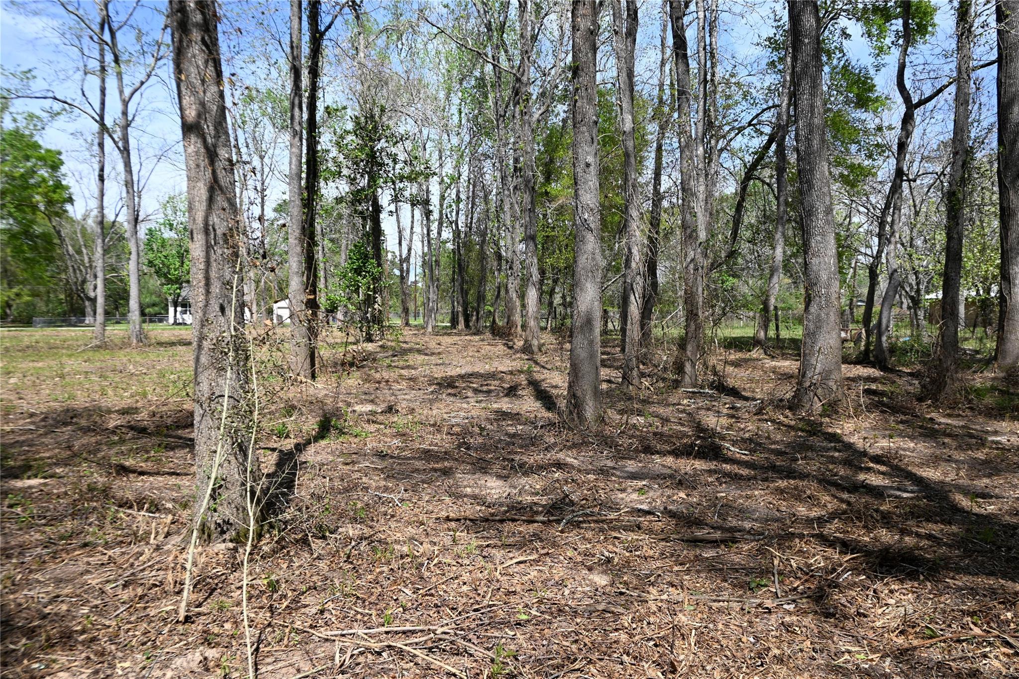 lot 6 County Road 2360