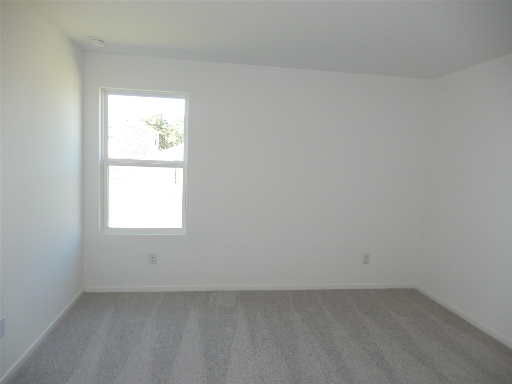 31505 Olivella Drive