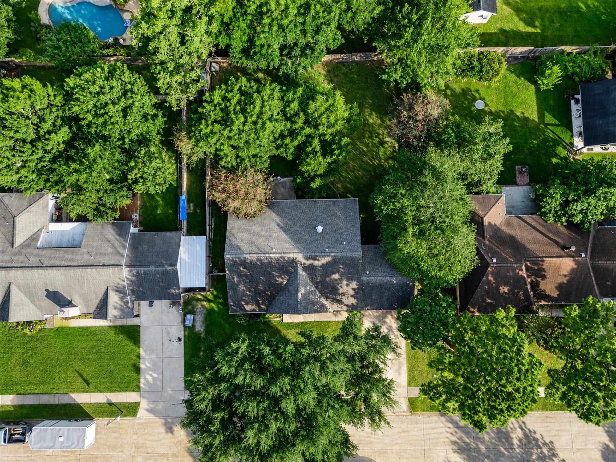 1208 Piney Woods Drive