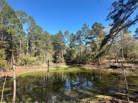 Photo of 38 Cr 263, Buffalo, TX 75831 (MLS # 38425531)