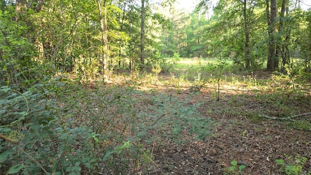 Photo of 0 Bones Way Ln, Shepherd, TX 77371 (MLS # 47731771)