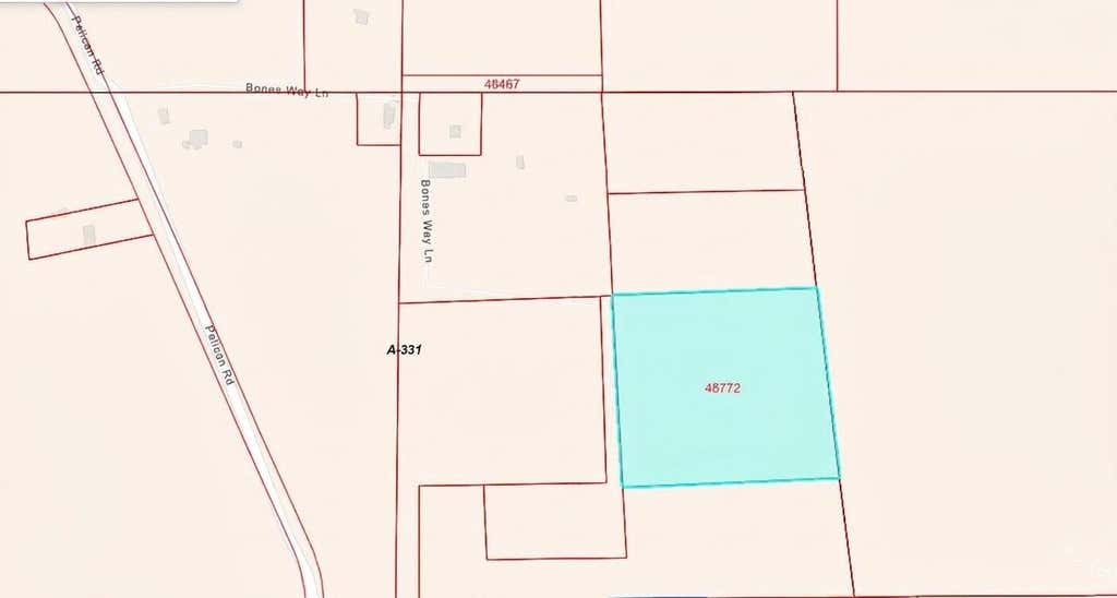 Photo of 0 Bones Way Ln, Shepherd, TX 77371 (MLS # 47731771)