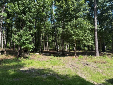 Vacant Land For Sale - 626 Friday<br/> Polk County, Livingston, TX 77351