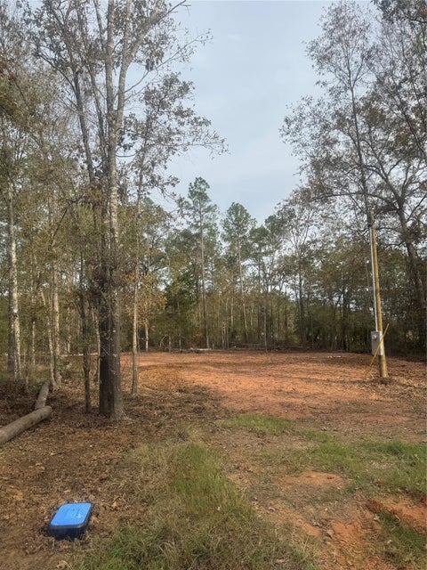 Photo of 197 Alta Vista Drive, Livingston, TX 77351 (MLS # 42860880)