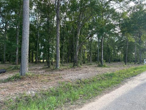 Tract 1-000 TBD Blackburn Dr Splendora TX 77372