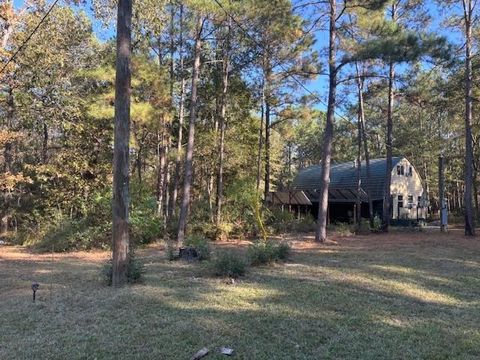 Photo of 9212 Blue Lake Drive, Plantersville, TX 77363 (MLS # 93767050)