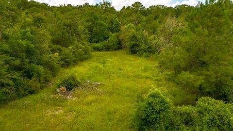 Photo of 1176 Plum Pudding Road, Livingston, TX 77351 (MLS # 22996684) Photo of 1176 Plum Pudding Road, Livingston, TX 77351 (MLS # 22996684)