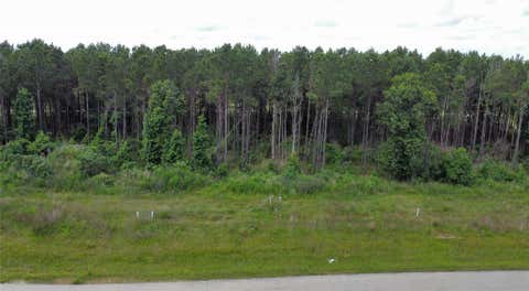 Photo of 8040 Road 5895, Cleveland, TX 77327 (MLS # 79823919)