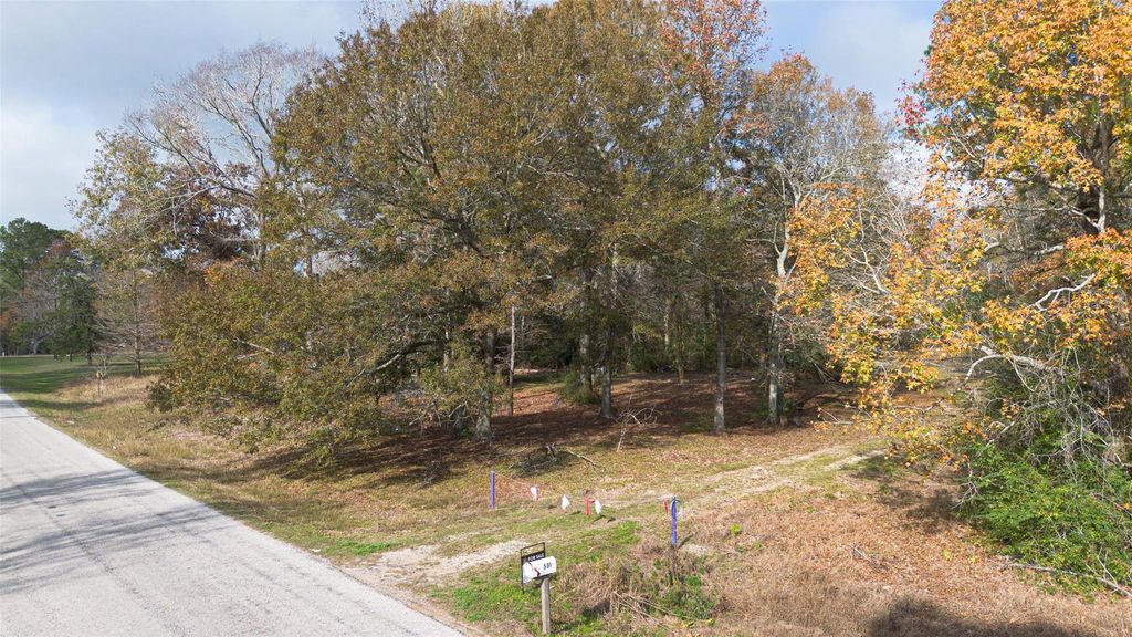 Photo of 531 County Road 4882 S, Dayton, TX 77535 (MLS # 18693666)