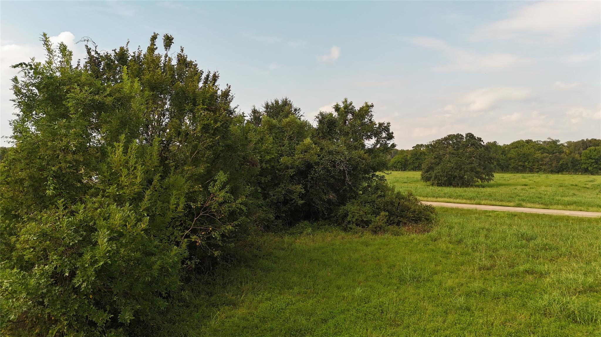 405 Pony Trail