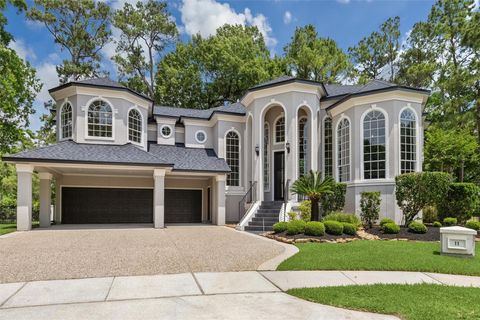 Photo of 11 Twin Greens Court, Houston, TX 77339 (MLS # 34100463)
