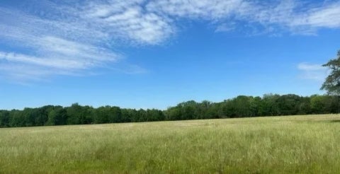 Photo of 400 Pony Trail Trl, Angleton, TX 77515 (MLS # 82482482)