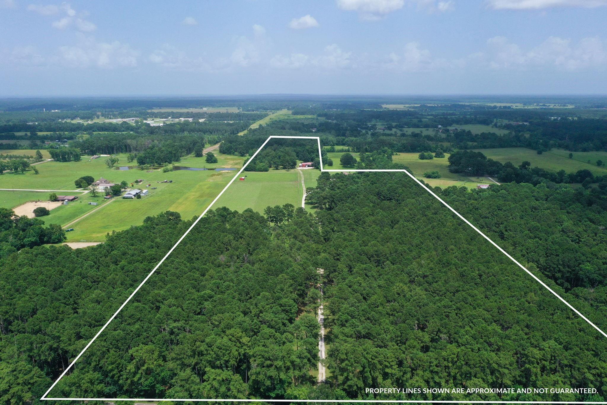 550 County Road 2267