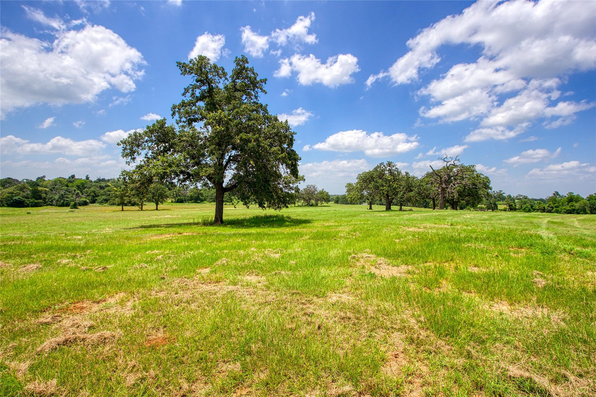1723 County Road 305
