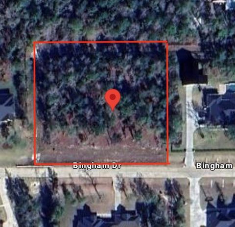 7511 Bingham Drive Montgomery TX 77316