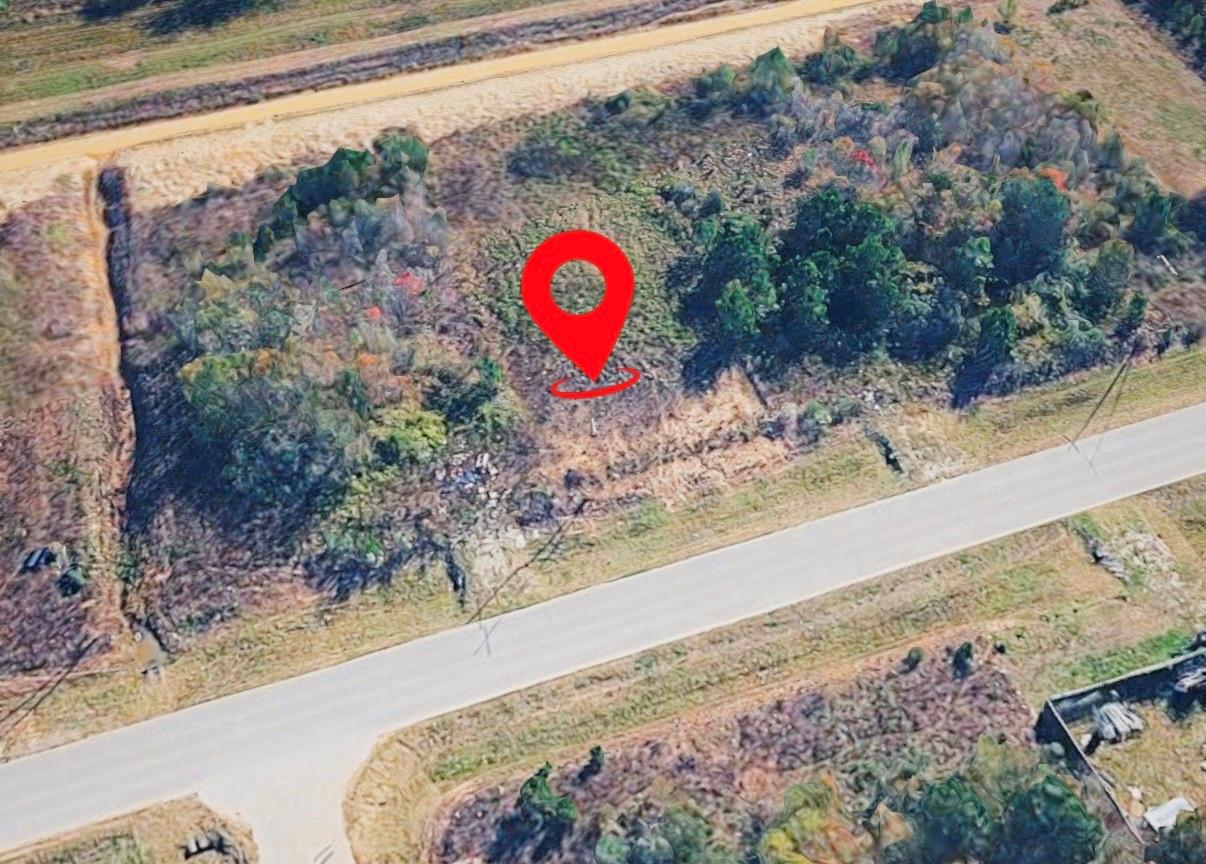 1236 County Road 3570