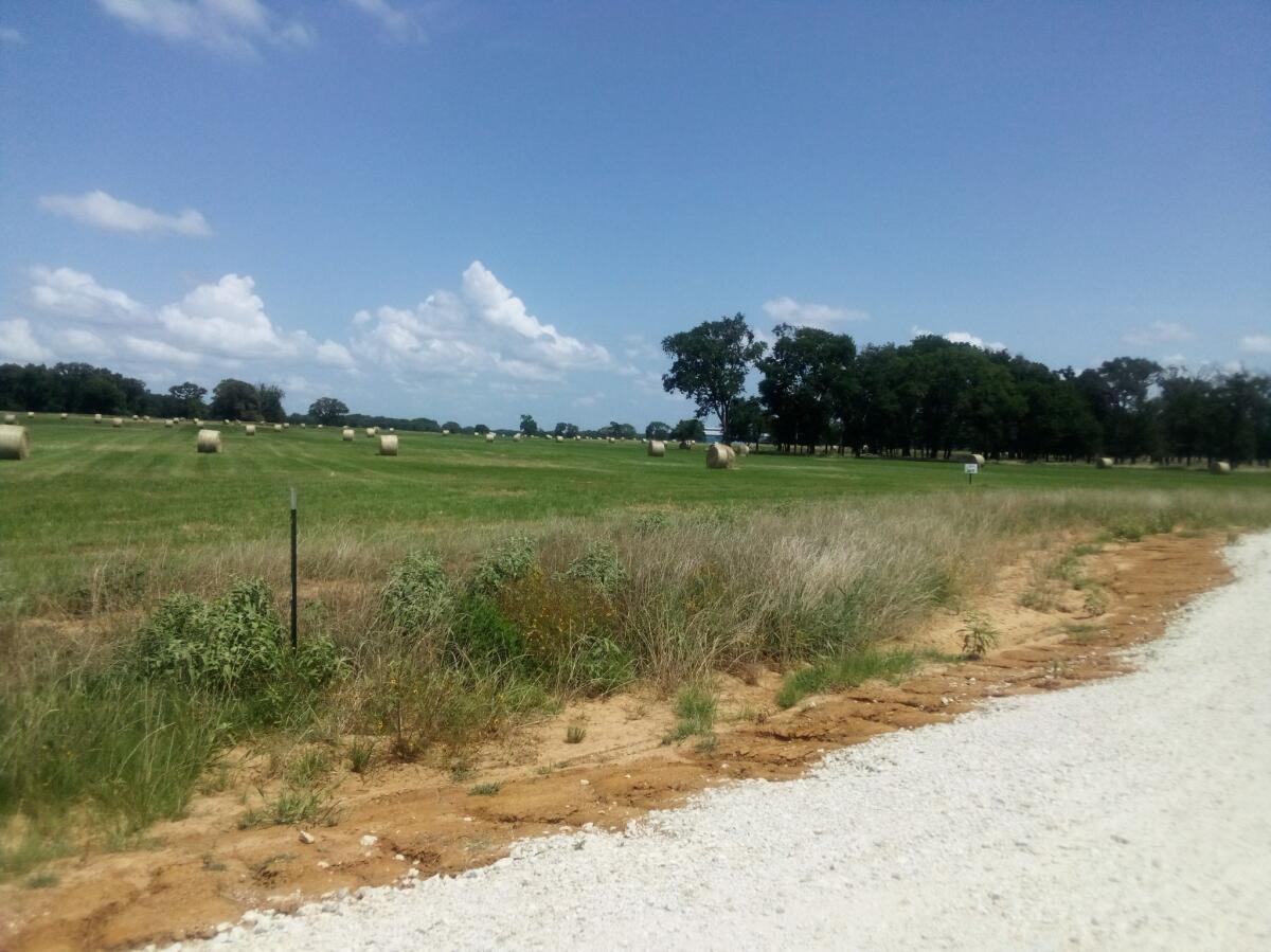 TR 87 County Road 231