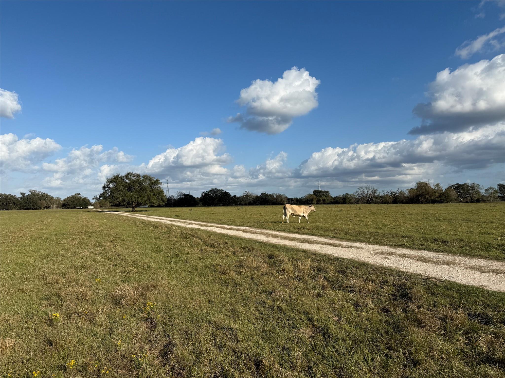 31619 Highway 36