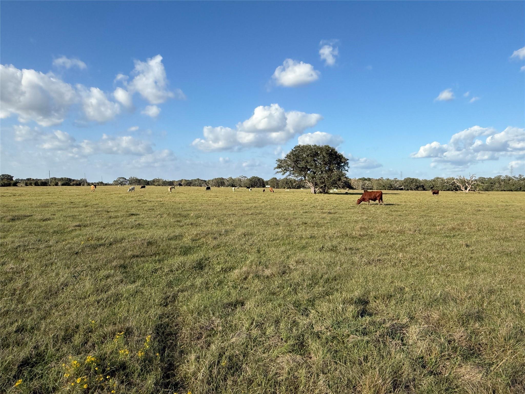 31619 Highway 36