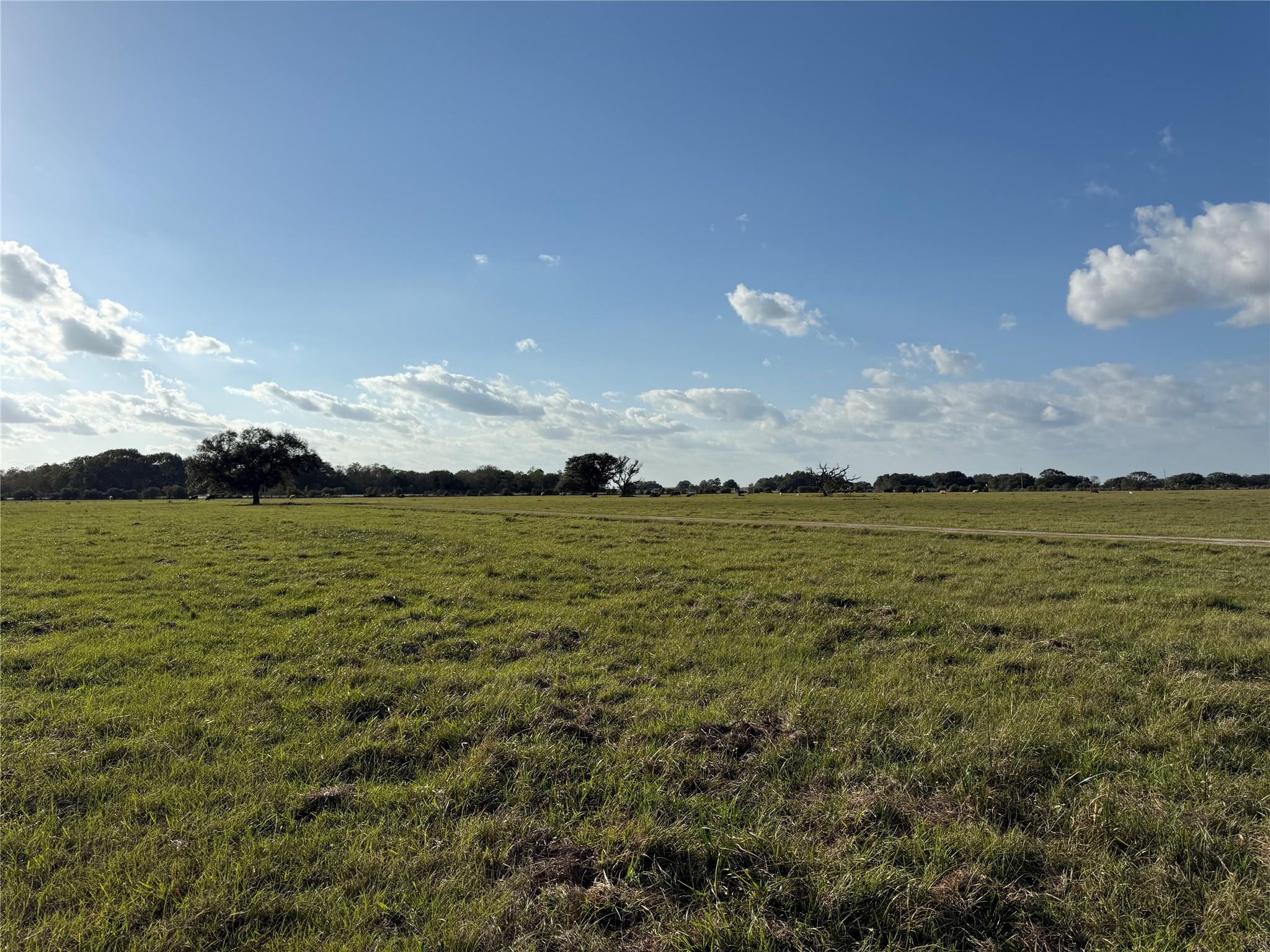 31619 Highway 36