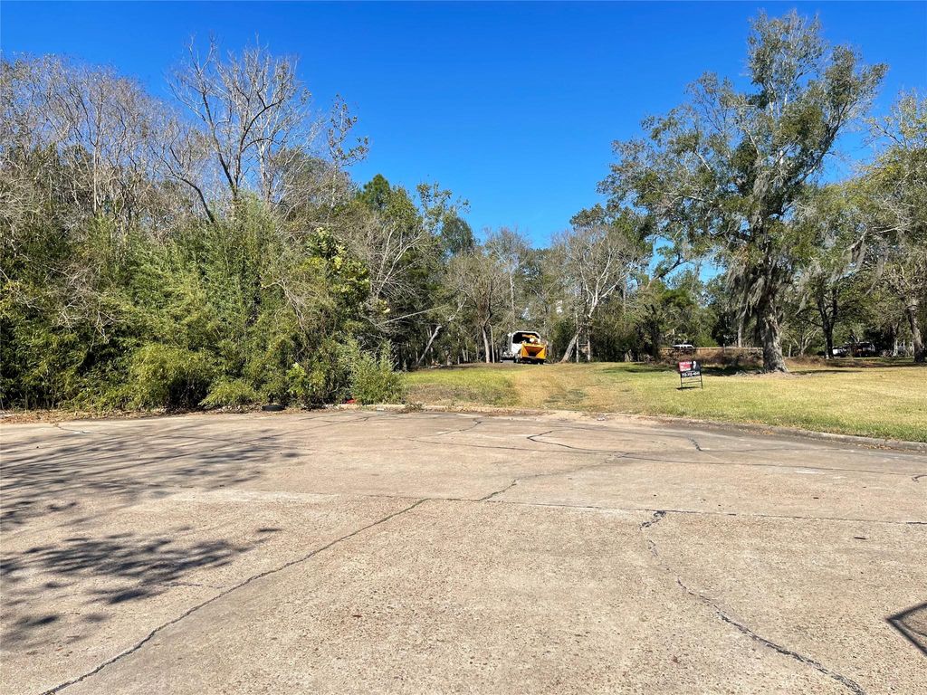Photo of 0 Creekview Ct Drive, Friendswood, TX 77546 (MLS # 82280489)