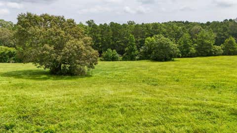 Vacant Land For Sale - 00 County Rd 2780<br/> Tyler County, Colmesneil, TX 75938
