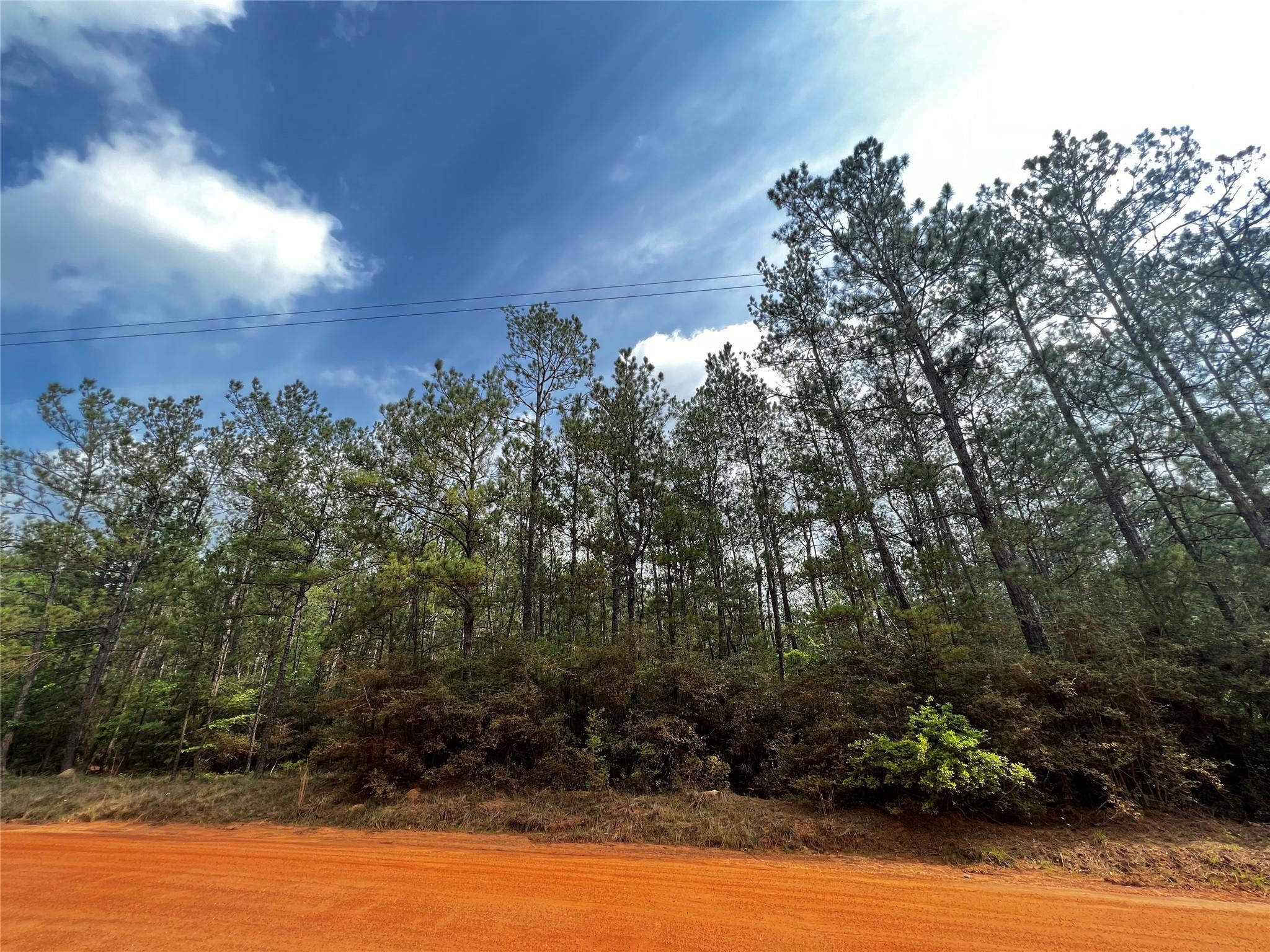 00 Forest Valley Drive