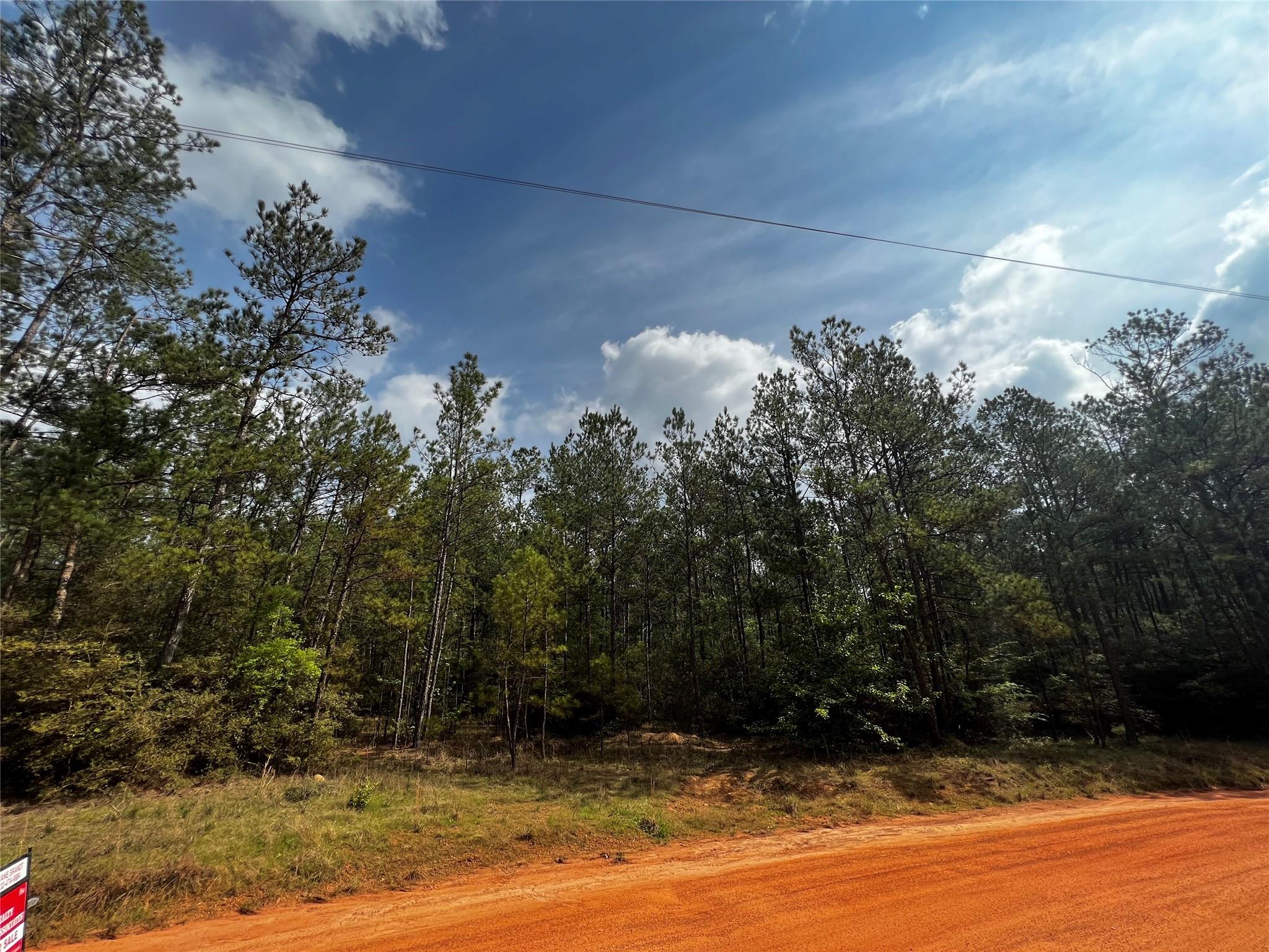 00 Forest Valley Drive