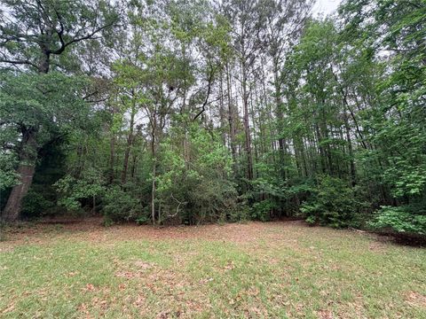 Photo of TBD Forse Drive, Woodville, TX 75979 (MLS # 21808744)