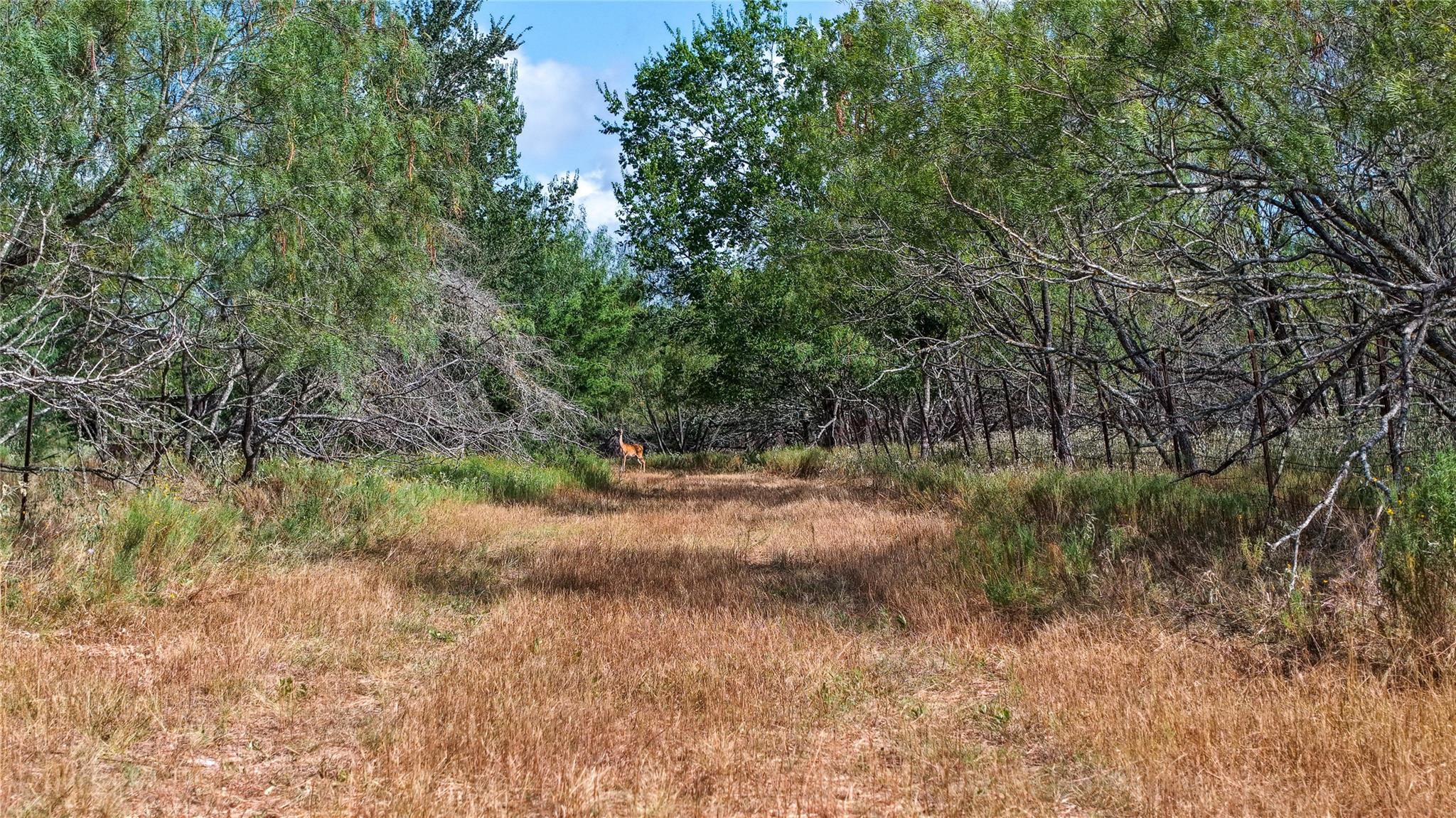 Tract 4 Tbd Mensik Rd