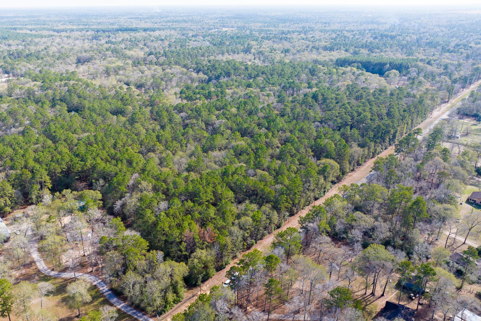 6698 Pine Shadows Road