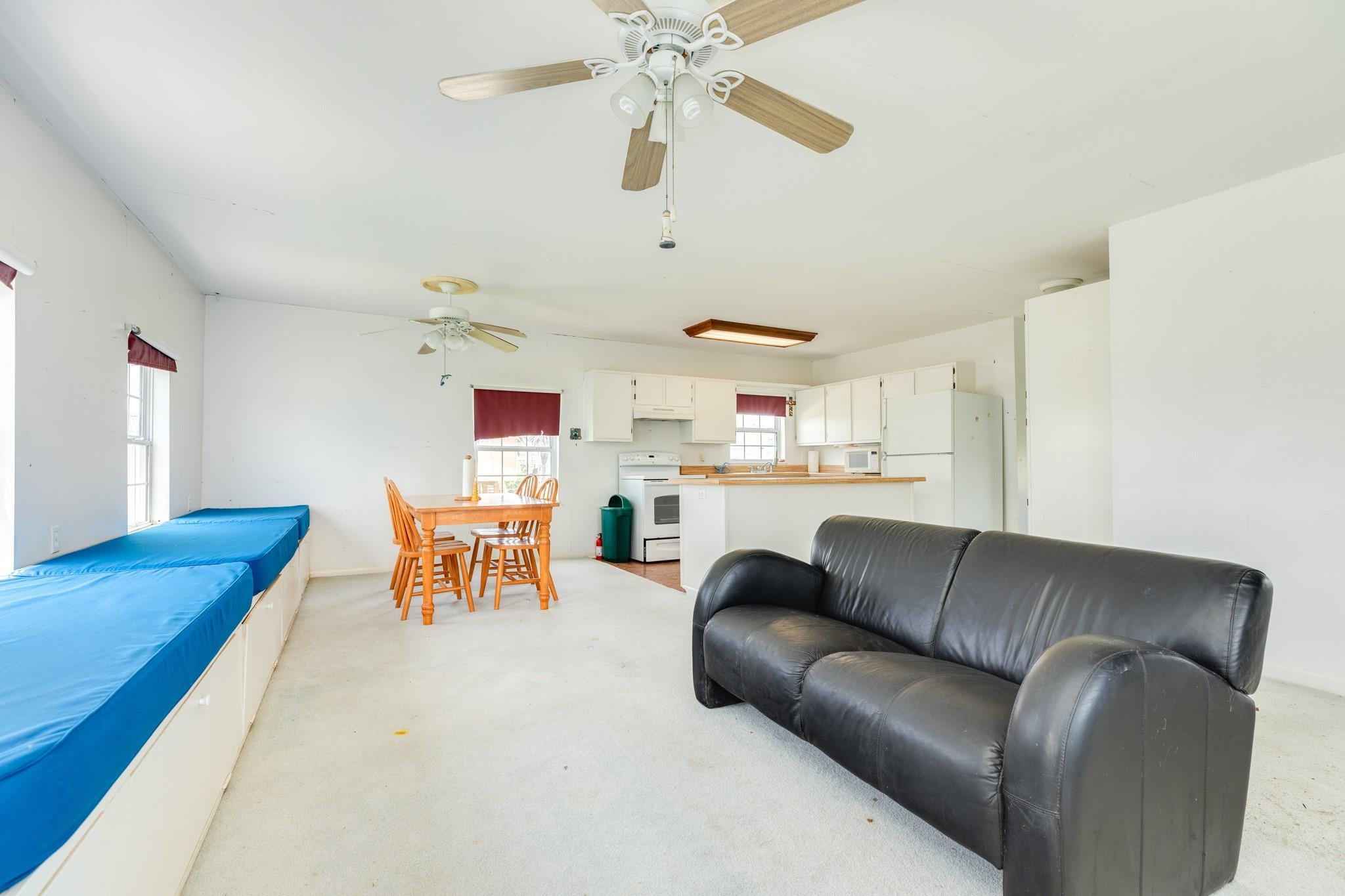 4123 Oleander Drive