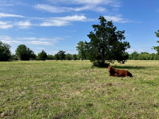 0 NE Belcher ,   Cr 397