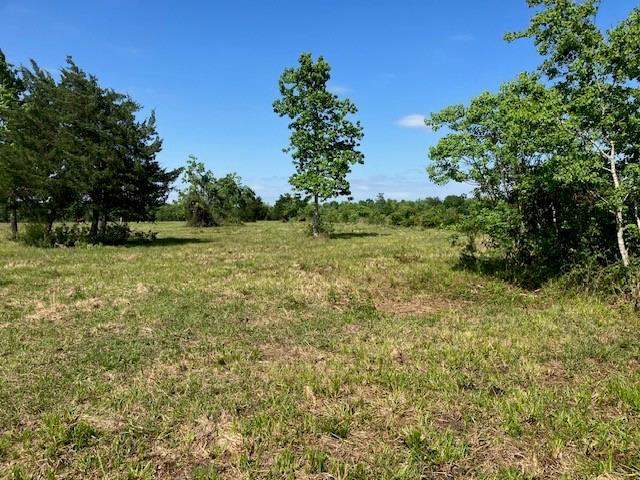 0 NE Belcher ,   Cr 397