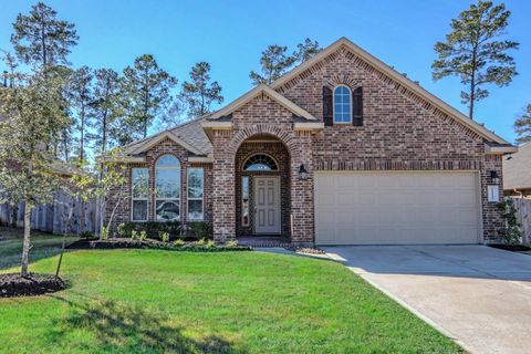 Photo of 14141 Isle Royal Lane, Conroe, TX 77384 (MLS # 34757735)