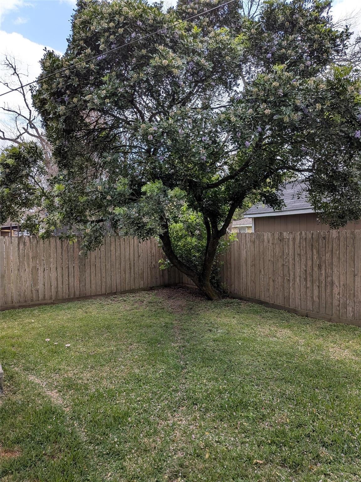 1500 Andrea Drive