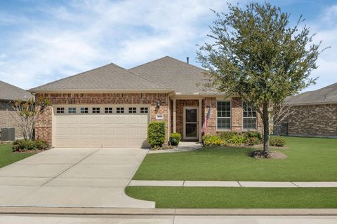 510 Emory Peak Drive Richmond TX 77469