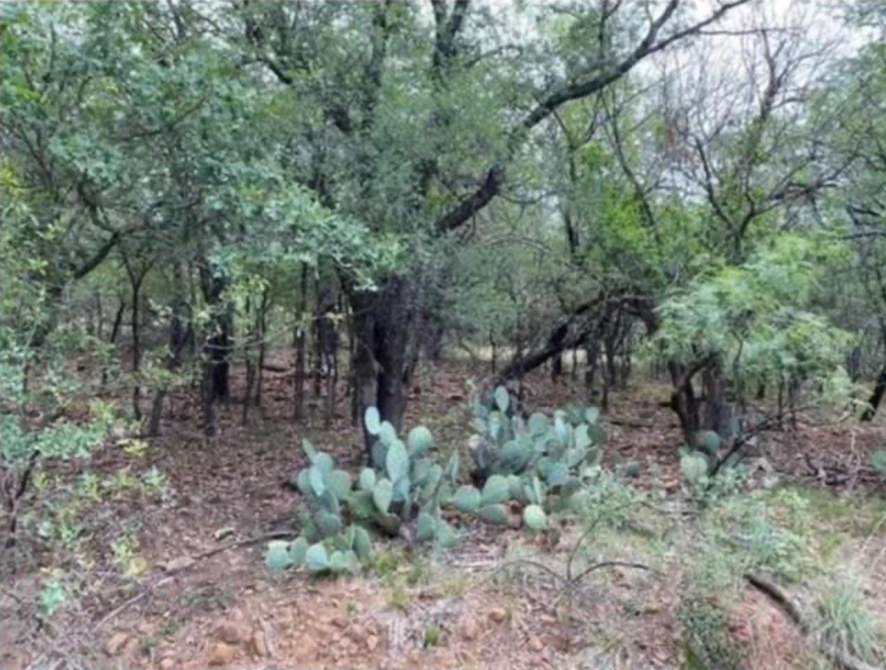 Photo 1 of 4 — 0 NE 8th Avenue, Mineral Wells, TX 76067