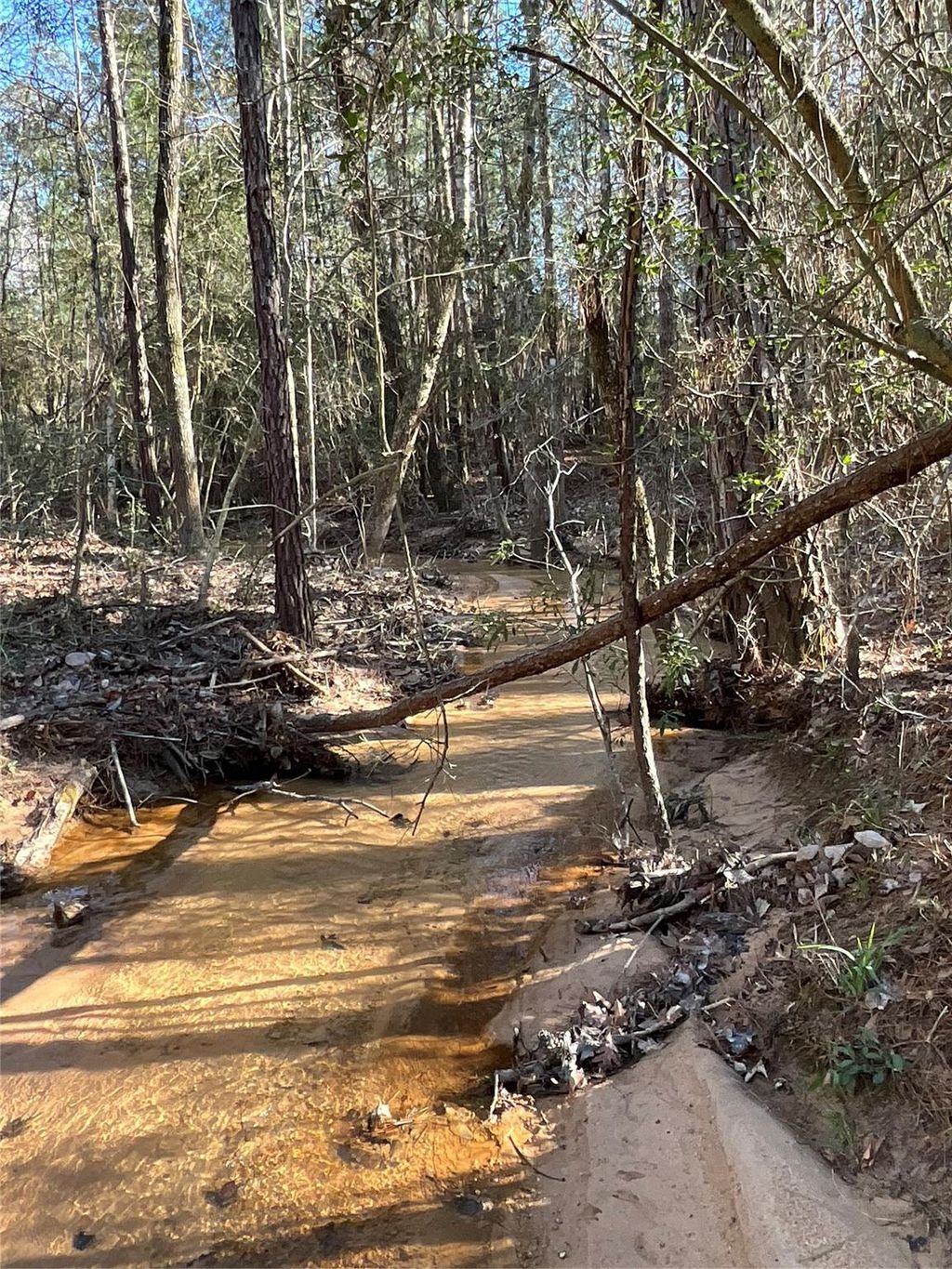 Photo of 175 Exploration Road, Willis, TX 77378 (MLS # 11968042)